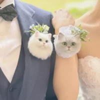 Custom Pet Brooch/Corsage