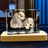 Creative Crystal Photo