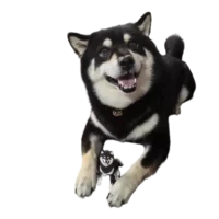 Full-Body Dog Figurine