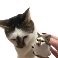 Full-Body Cat Figurine